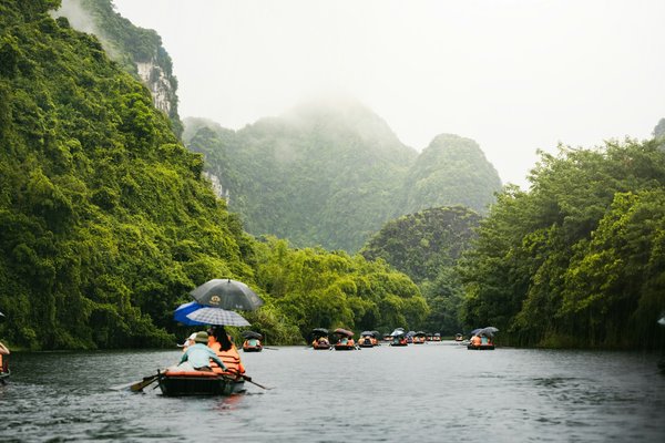 Peut-on trouver une croisière qui propose des excursions pour découvrir les mangroves d'Amérique centrale?